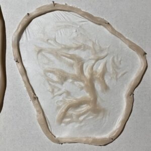 Burn Scars